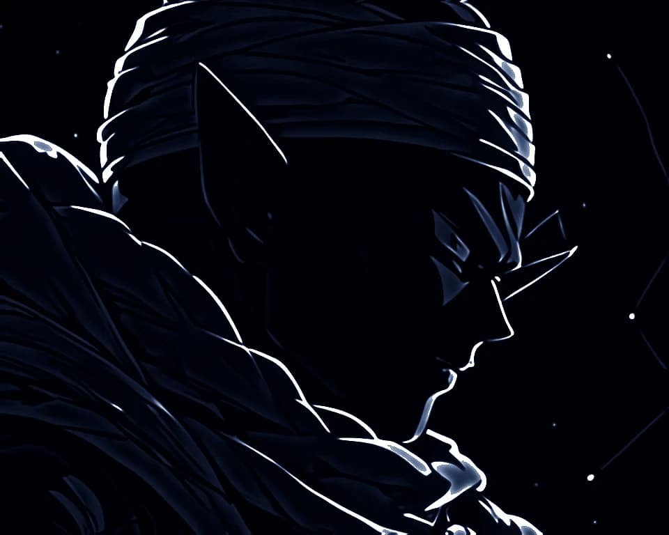 Portrait de Piccolo